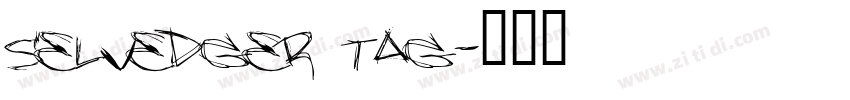 Selvedger Tag字体转换